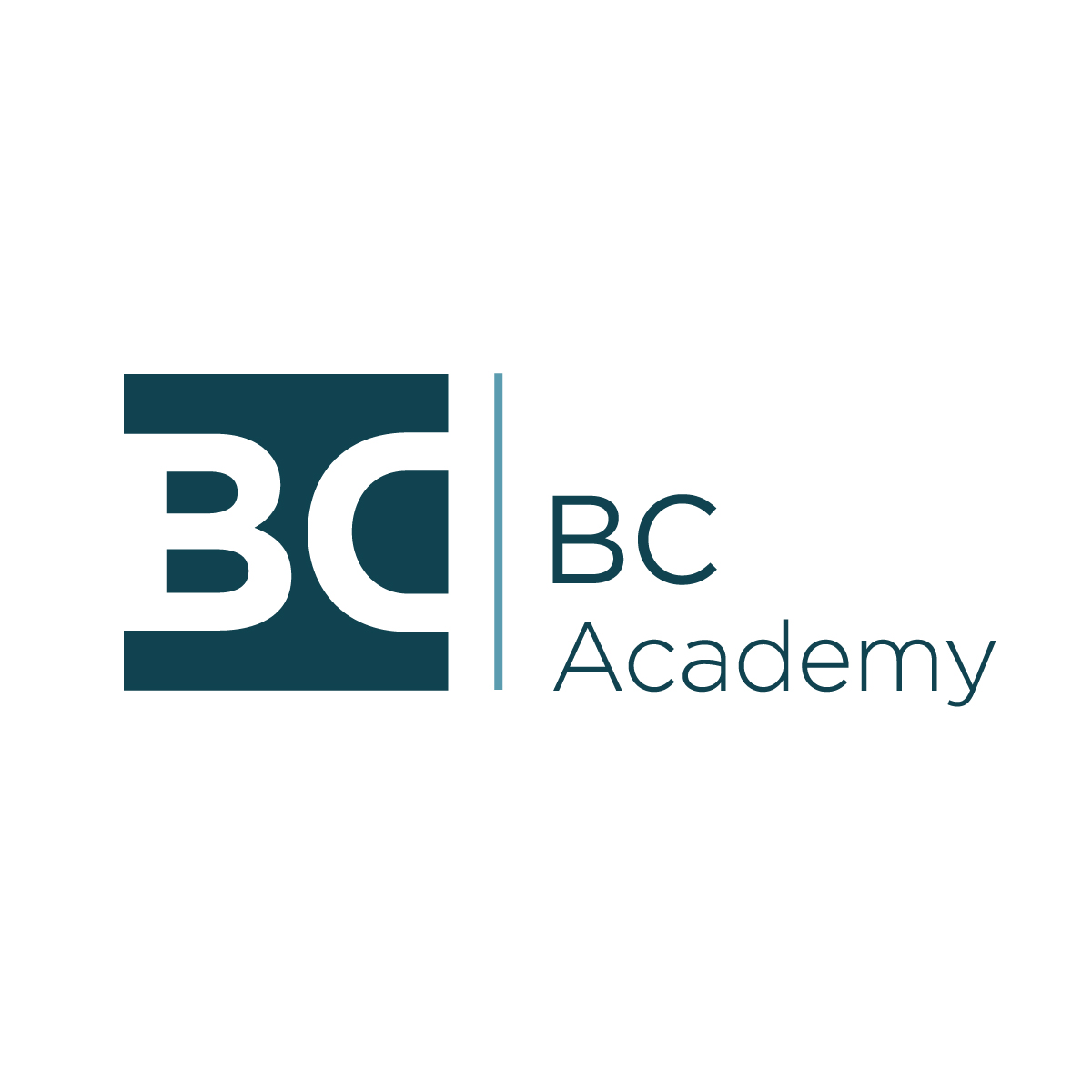 BC Academy logo